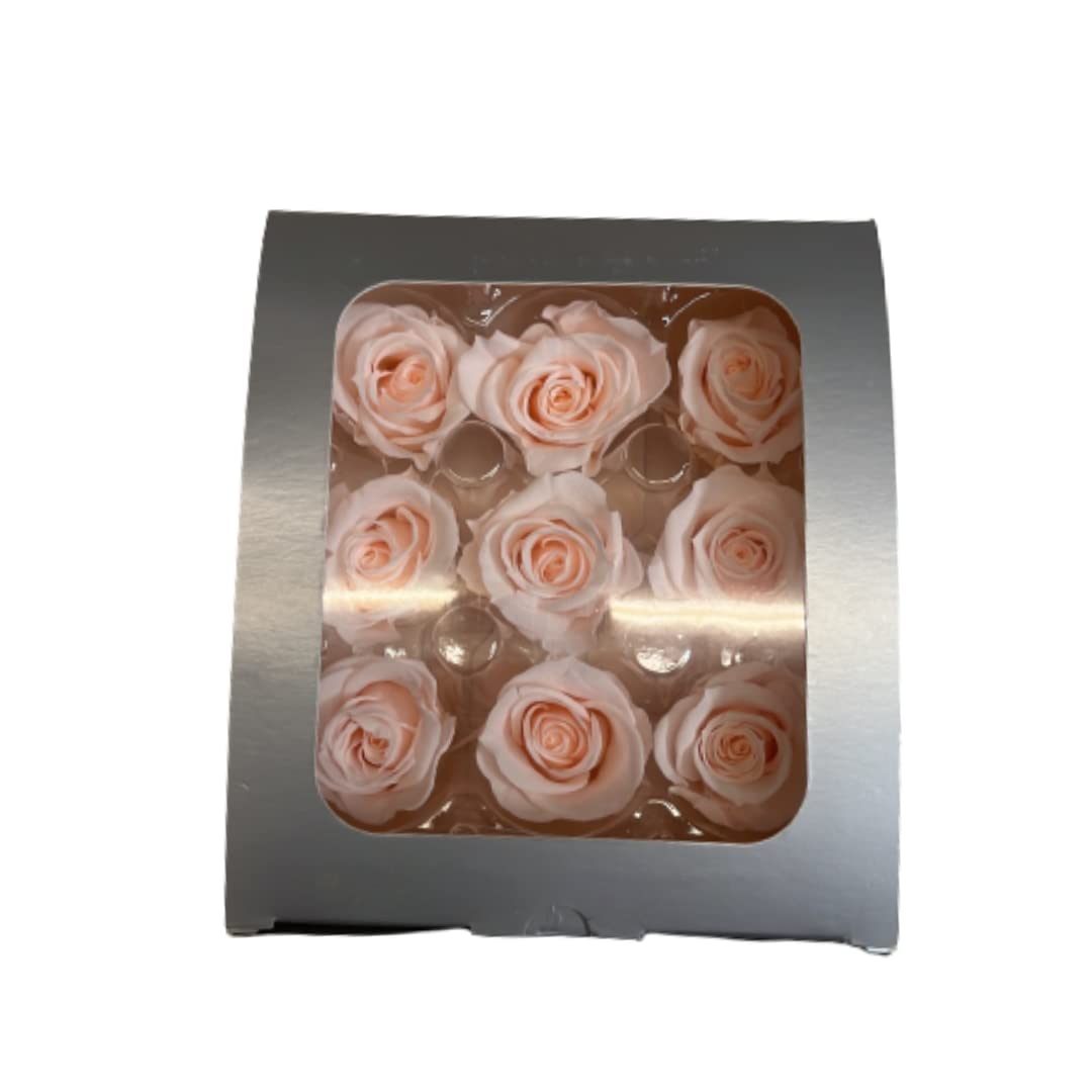 Juli Fleurs Rose Mini Rose Blush
