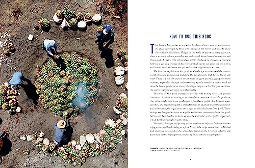 image for Union Square & Co. The Essential Tequila & Mezcal Companion: How to Se