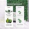 Product Photo 5