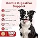 Slippery Elm for Dogs – Megaesophagus Dog Aid – Vet-Formulated Organic Slippery Elm Bark – Relief for Acid Reflux, Throwing Up, Constant Upset Stomach – Digestive Aid for Dogs and Cats – 120 Tablets