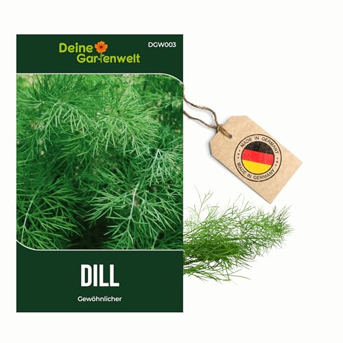 Dill Gewöhnlicher Samen - Anethum graveolens - Dillsamen - Kräutersamen - Saatgut für 150 Pflanzen