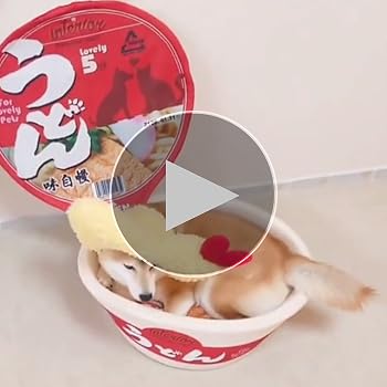 新品未使用！【日清】 カップヌードル　具材のクッション付 ペットハウス 期間限定値下げ 完売品 日清食品 クッション付きペットハウス