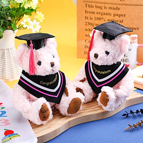 Funtery 2 Pcs Pink Graduation Bear 2023 Graduation Plush Stuffed Animal Graduation Bear Gifts Graduation Decorations 7.8 Inch For Girl, For College, High School, Graduation Day Gift #TOP28