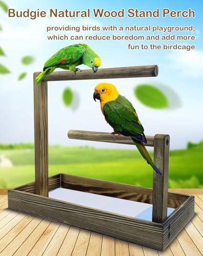 Image of 8 Pcs Small Bird Training Stand Set Portable Tabletop Birds Perch Desktop Platform Training Perch with Disposable Pads Parakeet Play Gyms Exercise for Budgie Conure Parrot Cockatiel
