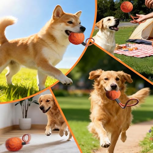 Balle interactive pour chiens pour briser l'ennui avec ce jouet automatique étanche