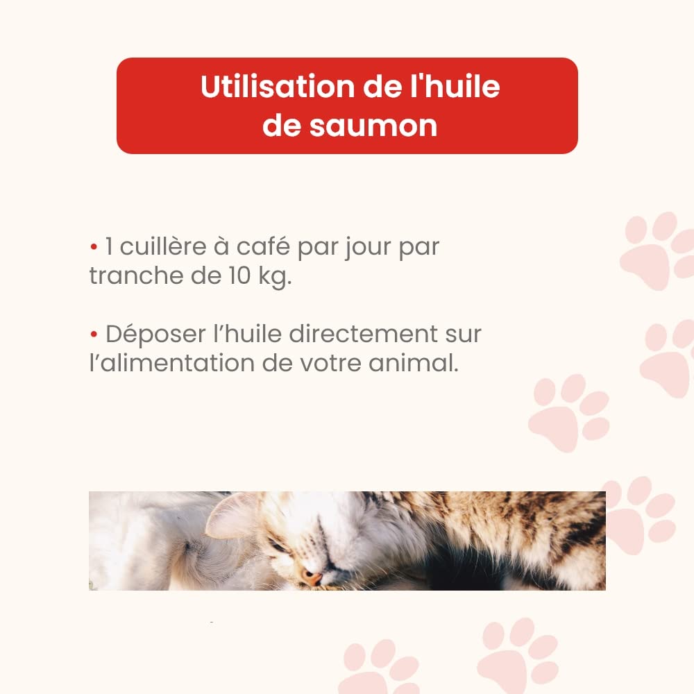 Huile DE Saumon 5 L - pour Chiens et Chats - Source d'Oméga 3 - Beauté du Pelage - Brillance des Poils - Santé de la Peau - Confort Cardio-vasculaire - Développé en France