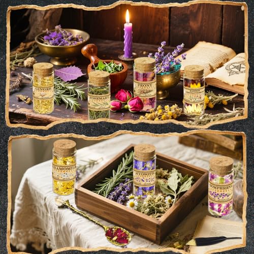 Kit de Hierbas y Flores Secas con 30 Frascos de Vidrio miniatura 4