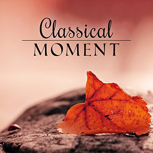 Sleep Nights Specialists