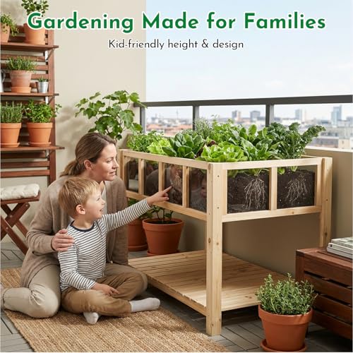 Image of ketive Raised Garden Bed with Transparent Acrylic Panels, Elevated Wooden Raised Garden Bed Planter, Fir Wood Outdoor Planter Box for Herbs, Flowers & Patio Balcony Gardening (Natural)