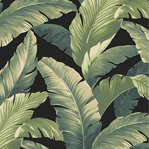 Image of Arden Outdoor Foam Deep Seat Cushions Set, 24x24, Premium High-Density Foam, Never Flattens, Weather-Proof for Patio Chair Sofa Couch, Onyx Cebu