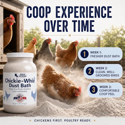Image of 5.5lb Chickie-Whiz Chicken Dust Bath - Made in USA - All Natural Volcanic Ash Dust Bath for Chickens - Healthier Eggs & Feathers - Chicken Coop Accessories for Farms by Billy Buckskin Co. (Pack of 2)
