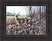 Bluff Country Buck by Jim Hansel 17x21 Whitetail Deer Framed Art Print Wall Décor Picture