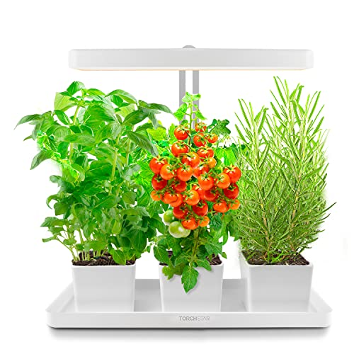 Top 10 Indoor Lighting For Herbs of 2022 Katynel