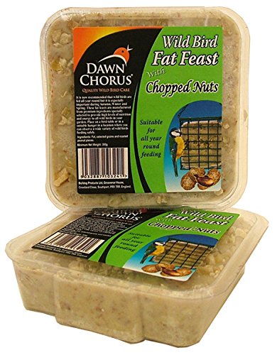 Dawn Chorus Fat Feast Nutty (Pack of 12)