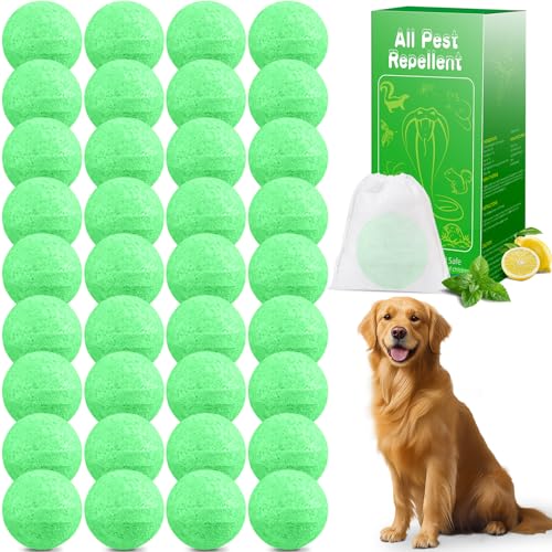 Dog Repellent for Yard, 36 Pcs Natural Peppermint Oil Dog Cat Deterrent Ball Outdoor Indoor Preventing Dogs from Peeing Scratch and Chew, Keep Dogs Out of Lawn Garden