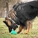 Chew King Premium Treat Hundespielzeug XL, extrem strapazierfähiges Naturkautschukspielzeug, 2 Stück, alle Rassengrößen