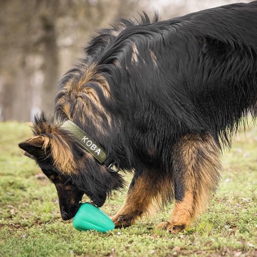 Chew King Premium Treat Hundespielzeug XL, extrem strapazierfähiges Naturkautschukspielzeug, 2 Stück, alle Rassengrößen
