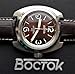 Vostok Original Mens Watch Amphibia 170963 Mechanical Self-Winding Sandwich Dial Water Proof 200m