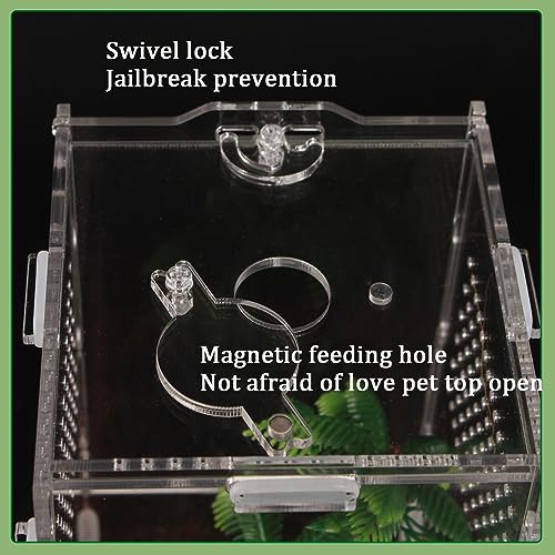 Image of 8x4x4 Inch Modern Rectangular Acrylic & Polycarbonate Vivarium for Tarantulas, Lizards, Snakes, Geckos, Jumping Spiders, Snails, Insects
