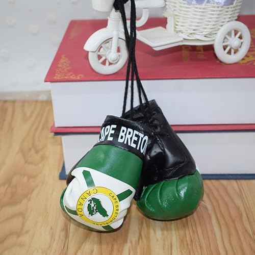 Joayuezo 1 Pair Mini Boxing Gloves Hang Mini Boxing Gloves for Car Mirror Keychain Ornament Car Decoration Accessories for Men and Women (Albania) - Image 2