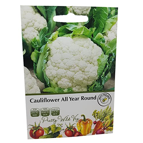 Vegetable Fruit Seeds Veg Seeds Cabbage Carrot Sweetcorn Tomato Strawberry (Cauliflower All Year Round)