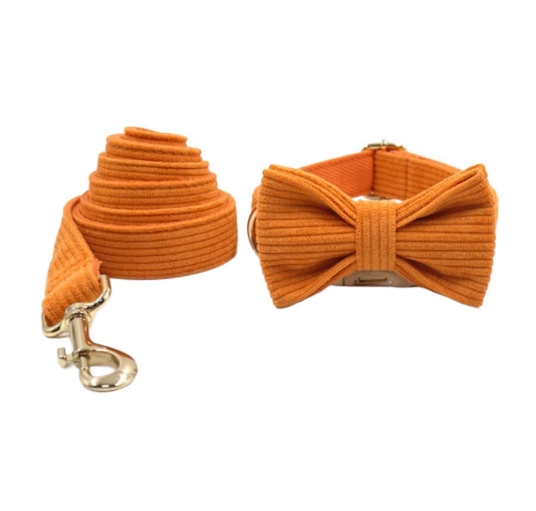 Morbido Guinzaglio Per Cani Guinzaglio A Catena Per Cani Con Fibbia In Acciaio Resistente Collare Papillon Forte A In Argento Dorato Per Antiscivolo Flexi(49-55cm)