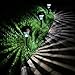Enchanted Spaces Black Solar Path Light, Set of 6, with Glass Lens, Metal Ground Stake, and Extra-Bright LED