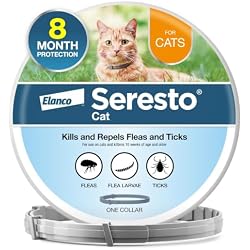 Seresto Cat Vet-Recommended Flea & Tick Treatment & Prevention Collar for Cats | 8 Months Protection