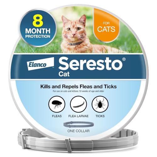 Seresto Cat Vet-Recommended Flea & Tick Treatment & Prevention Collar for Cats | 8 Months Protection