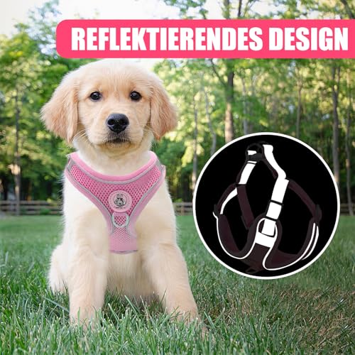 Hundegeschirr mit Hundeleine Set, Air-Mesh Atmungsaktiv Brustgeschirr für Kleine, Mittelgroße Hunde & Welpen, Weich Gepolstert Einstellbar Reflektierend Geschirr (Rosa, S)