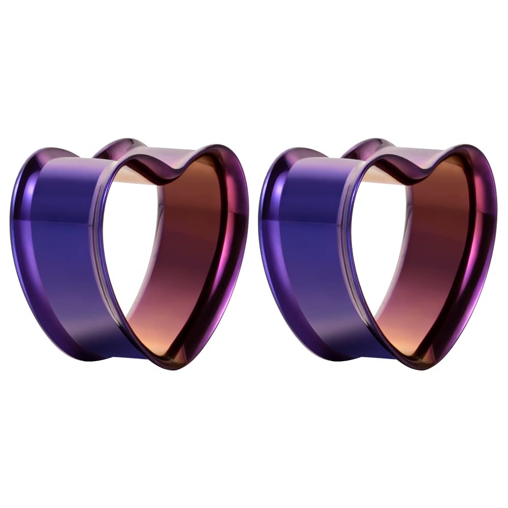 POBAISITER 2PCS Stainless Steel Screw Ear Gauges Tunnels Hollow Double Flare Black Gold For Man For Woman Body Piercing Jewelry 6mm-30mm Stretcher