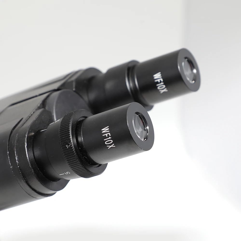 Kit di Accessori per Microscopio Microscopio Biologico Binoculare LED 640X Adatto per Vetrini per Microscopio Didattico per Studenti