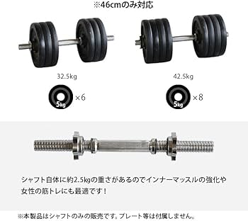 ★LEADING EDGE 2点セット アイアンダンベルセット30キロ 楽天市場】☆エントリーでポイント3倍！10/30迄☆ダンベル