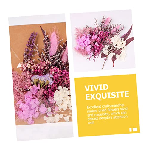 Paquete de flores prensadas para decoración y manualidades miniatura 6