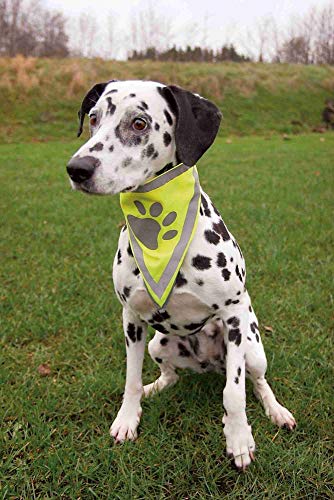 Trixie 30123 Safer Life Halstuch, L–XL: 43–60 cm