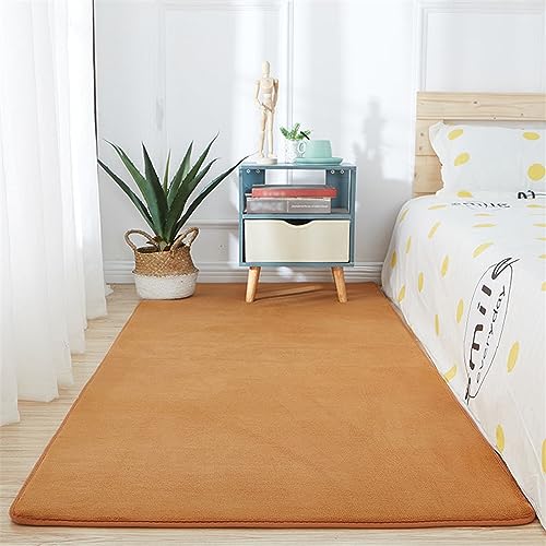 Tapis antidérapant lavable résistant aux animaux et taches