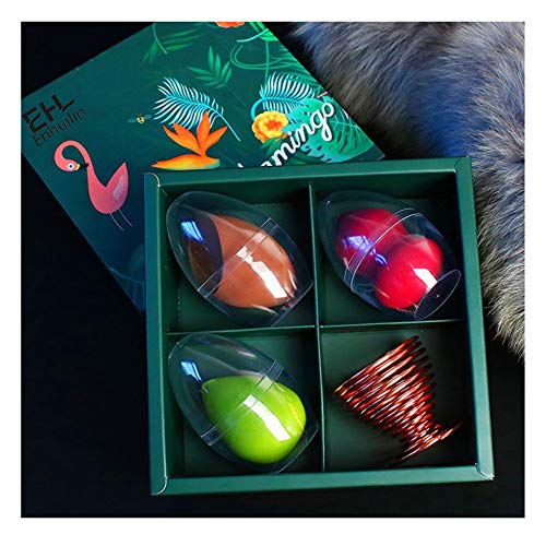 Enhuilin-4 Pcs Makeup Sponge Set, Perfect for liquids, powders, or creams, Multi-colored Non-Latex Blending Sponge for Foundation, Professional Beauty Makeup Set for Dry & Wet Use
