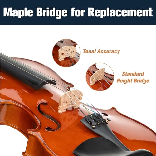 Image of Mendini By Cecilio Violin 4 /4 Full Size For Beginners - Fiddle Solidwood Kit with Hard Case - Acoustic Violins with Bow, Rosin, Tuner, Extra Strings & Bridge, Shoulder Rest and Lesson Book (Varnish)