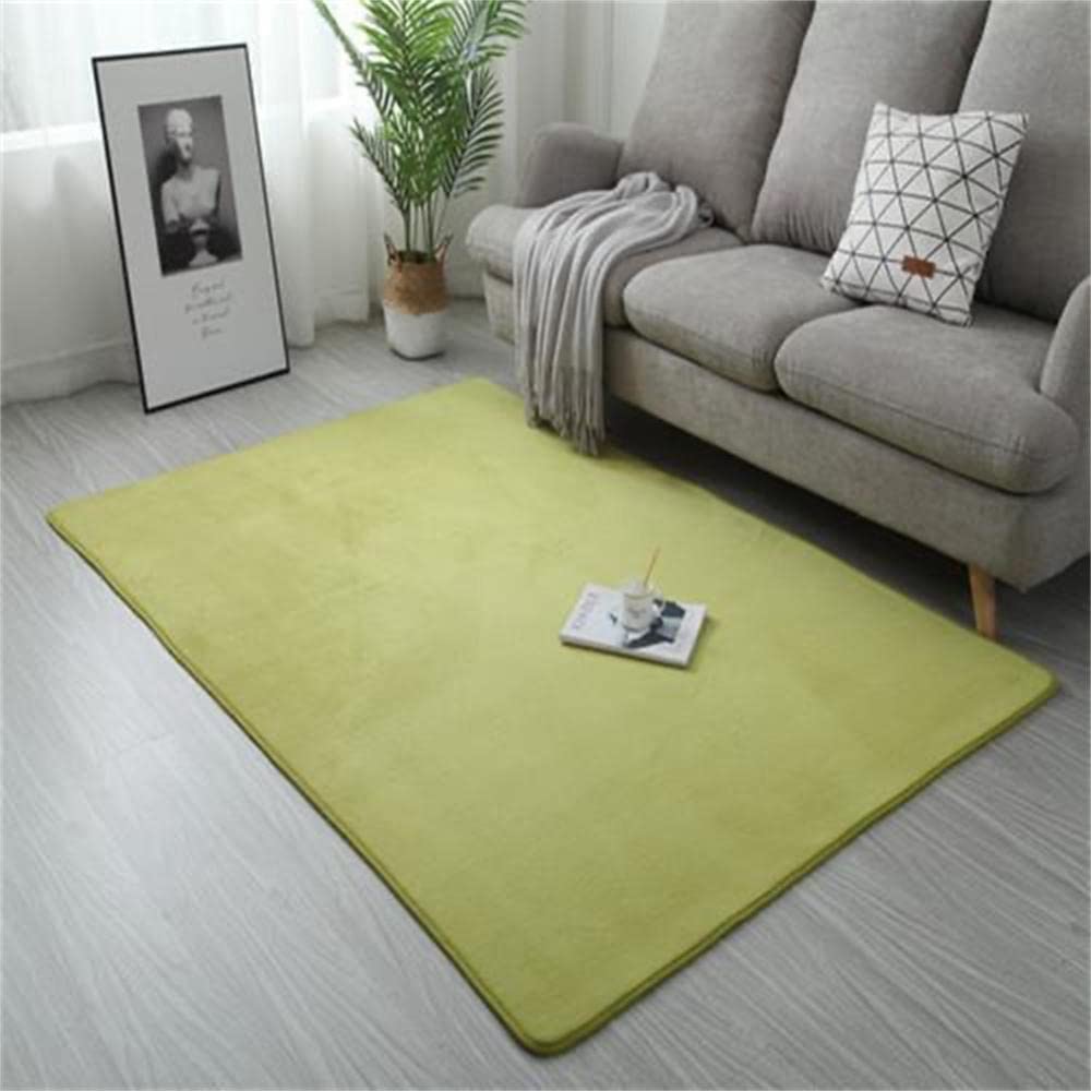 Tapis de salon moelleux et grand format facile à nettoyer