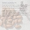 Pure Body Naturals Sweet Almond Oil for Hair and Skin, 100% Pure and Cold Pressed, Hexane Free, Skin Moisturizer, Nails, Therapeutic Massage, Carrier Oil 16 Fl. Ounce (Label Varies)