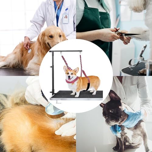 SQAQS 3PCS Haustier-Hundegeschirr, Starke Ausdauer, Hals und Haunch Halter, Fellpflege, verstellbares Tischseil mit D-Ringen, Gurt, Waschen Hundepflege Tub Zurückhaltung, Hund Bade Seil fü(schwarz)