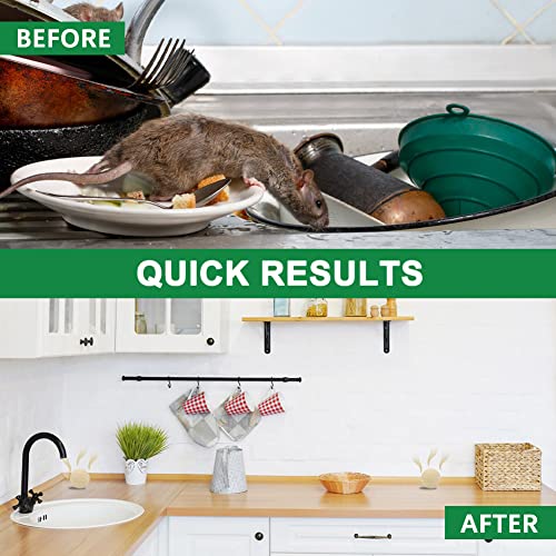 Mice-Repellent-Rodent-Repellent-OutdoorIndoor-Rat-Repellent-Balls-Mouse-Repellent-Peppermint-for-House-Peppermint-to-Repel-Mice-and-Rats-RV-Rat-Repellent-Keep-Mice-Away-8Pcs - Cucciolini Doodles   Mice-Repellent-Rodent-Repellent-OutdoorIndoor-Rat-Repellent-Balls-Mouse-Repellent-Peppermint-for-House-Peppermint-to-Repel-Mice-and-Rats-RV-Rat-Repellent-Keep-Mice-Away-8Pcs