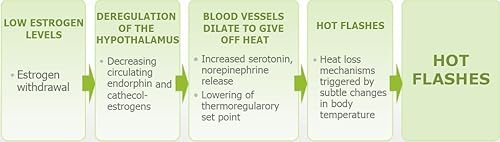 Miniatura 5 de Cápsulas de alivio de la menopausia para mujeres, suplementos naturales para la menopausia para mujeres, apoyo completo de la menopausia de día y