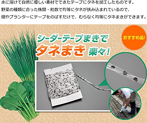 Amazon.co.jp: ニンジン 種子 甘美人 【シーダーテープ種子 6cm-4粒 