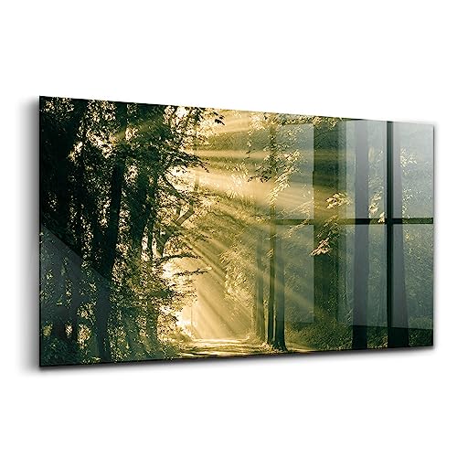 Image verre coloré pour illuminer un mur sombre de maison