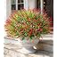 12pcs Red Monkey Grass+8pcs Red Flowers