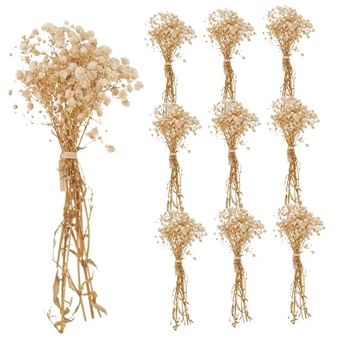 Ramo de Flores Secas Gypsophila para Decoración miniatura 1