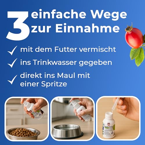 PAW2PAW Health Protect 7‑in‑1 Spray Hunde & Katzen – Immunsystem, Verdauung, Leber, Stoffwechsel, Haut & Fell, Energie, Stress – mit Kollagen & Kräutern – neutraler Geschmack – 30 ml, 200+ Sprühstöße
