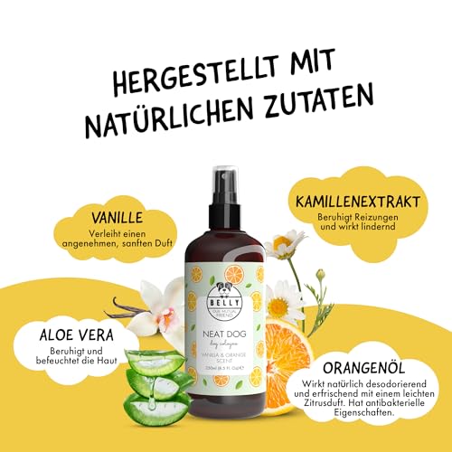 Belly® Hundeparfüm – Duftspray für Hunde & Welpen –250ml– Parfüm für Hunde mit Vanille & Orange – Spray gegen Geruch – pH-neutral – Fellpflege & Hundepflege