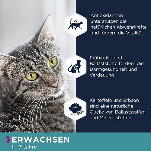 Eukanuba Katzenfutter trocken getreidefrei - Premium Trockenfutter mit viel Lachs für ausgewachsene Katzen, 2kg